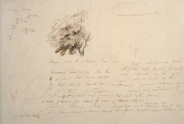 Feuille de Carnet No. 114